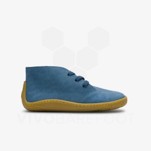 Vivobarefoot Gobi Addis Schuhe Kinder Indigo | CH014YF