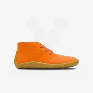 Vivobarefoot Gobi Addis Schuhe Kinder Orange | CH010CP