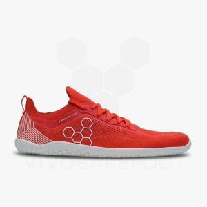 Vivobarefoot Primus Lite Knit Straßenlaufschuhe Herren Rot | CH384SZ