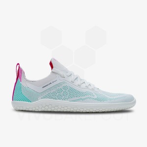 Vivobarefoot Primus Lite Knit Trainingsschuhe Herren Blau | CH342IR