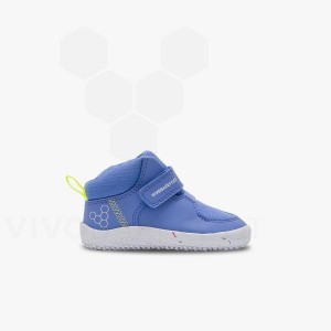 Vivobarefoot Primus Ludo Hi Kleinkinder Schuhe Kinder Blau | CH033FU