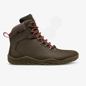 Vivobarefoot Tracker II FG Wanderschuhe Herren Taupe | CH413PV