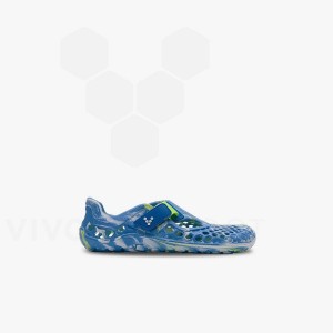 Vivobarefoot Ultra Bloom Preschool Schuhe Kinder Blau Helltürkis | CH050OB