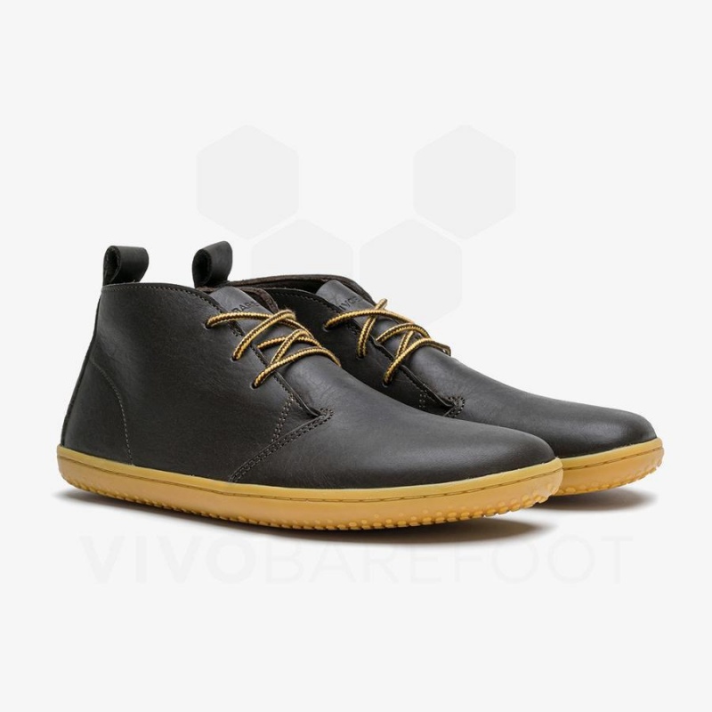 Vivobarefoot Gobi III Lifestyle Schuhe Herren Schwarz | CH319FU