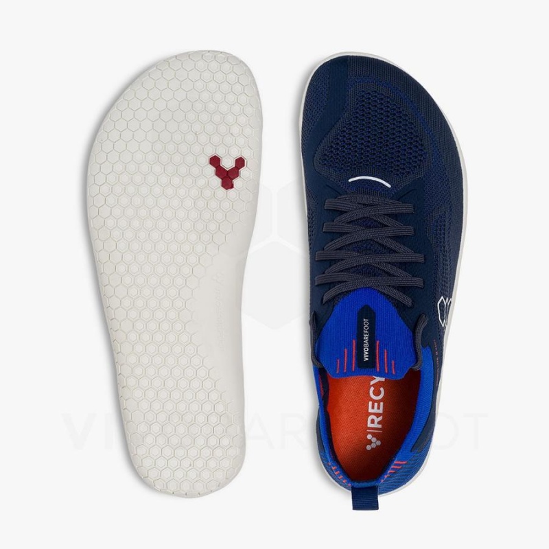 Vivobarefoot Primus Lite Knit Straßenlaufschuhe Herren Navy | CH389NN