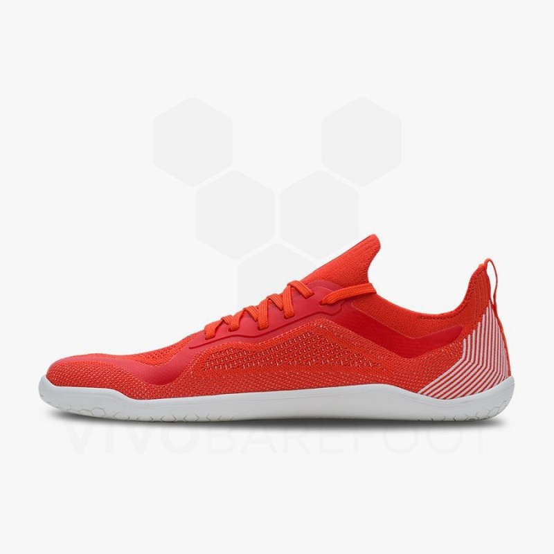 Vivobarefoot Primus Lite Knit Straßenlaufschuhe Herren Rot | CH384SZ