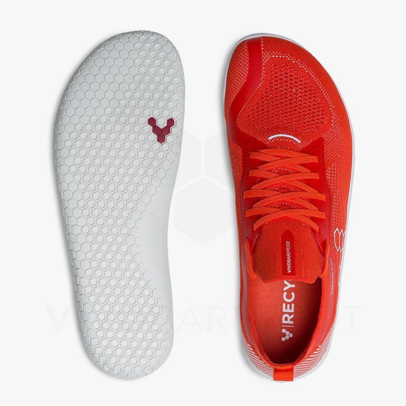 Vivobarefoot Primus Lite Knit Trainingsschuhe Herren Rot | CH340KW