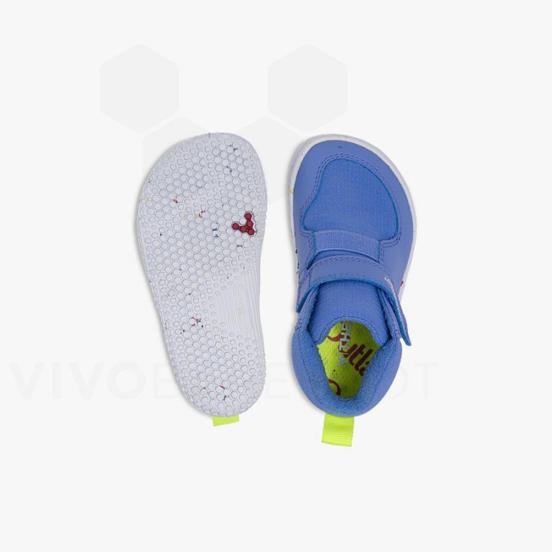 Vivobarefoot Primus Ludo Hi Kleinkinder Schuhe Kinder Blau | CH033FU