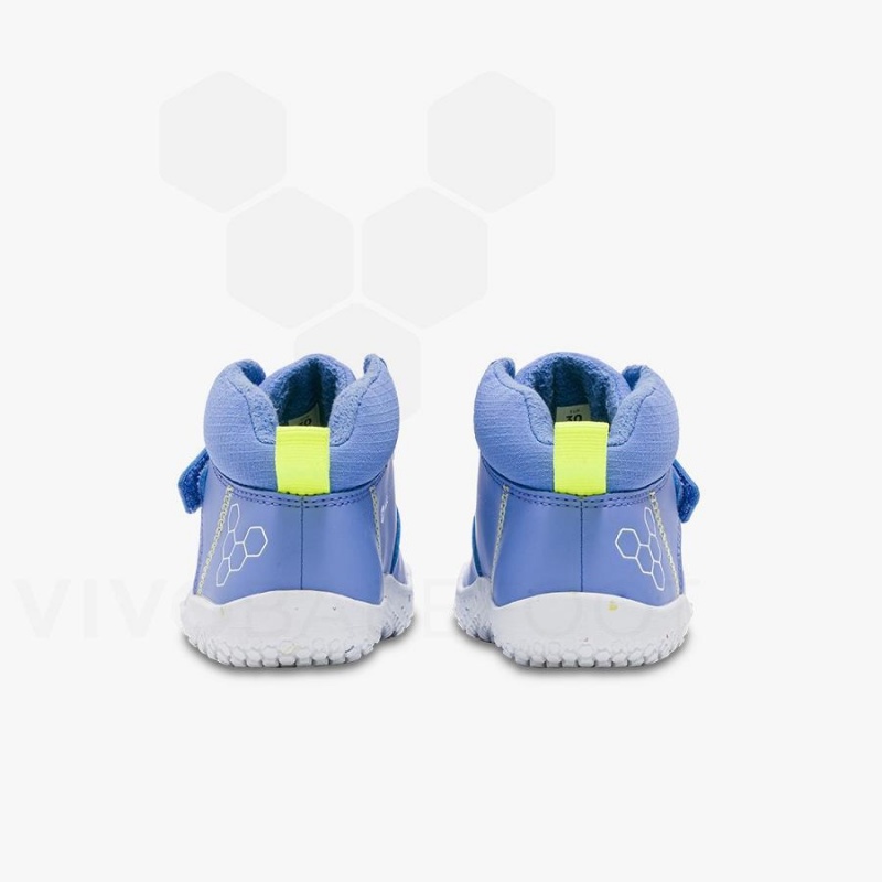 Vivobarefoot Primus Ludo Hi Schuhe Kinder Blau | CH029JE