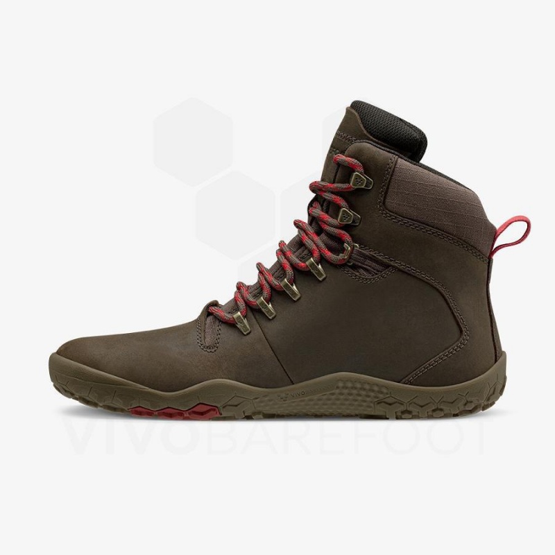 Vivobarefoot Tracker II FG Wanderschuhe Herren Taupe | CH413PV