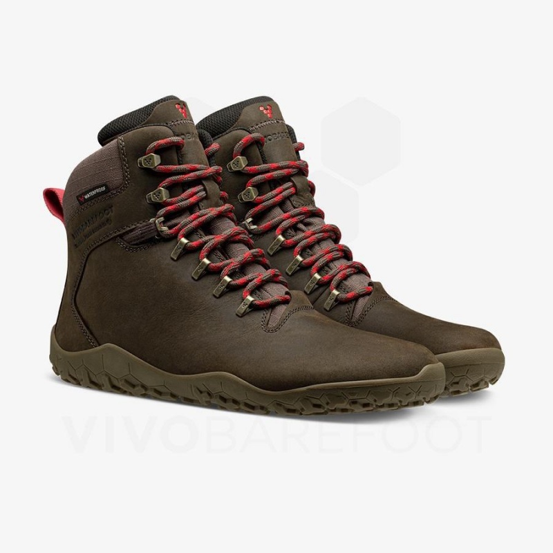 Vivobarefoot Tracker II FG Wanderschuhe Herren Taupe | CH413PV