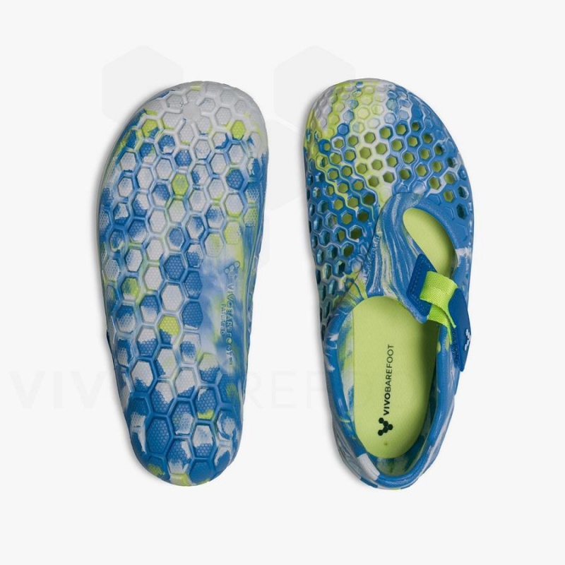 Vivobarefoot Ultra Bloom Juniors Schuhe Kinder Blau Helltürkis | CH045TL